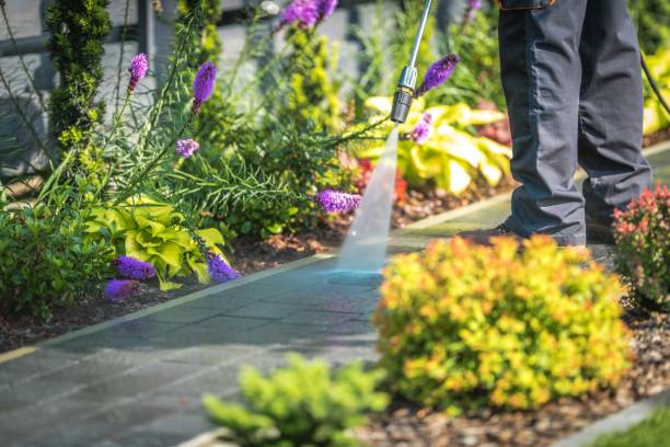 Trusted Fairbanks Ranch, CA Pressure Washing Services Experts